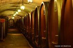 The Cellar at the Strasbourg Hospital