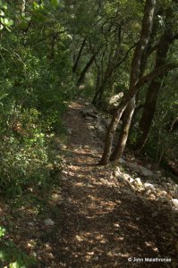 Continue at the end of the gallery