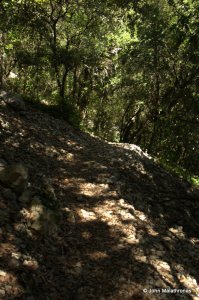 After a while, the path to the Chauvet cave becomes difficult to distinguish