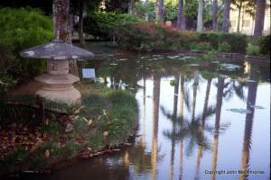 Japanese Garden in Rio Botanical Garden